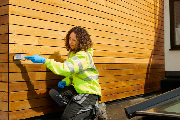 Best Insulated Siding Installation  in San Juan Bautista, CA